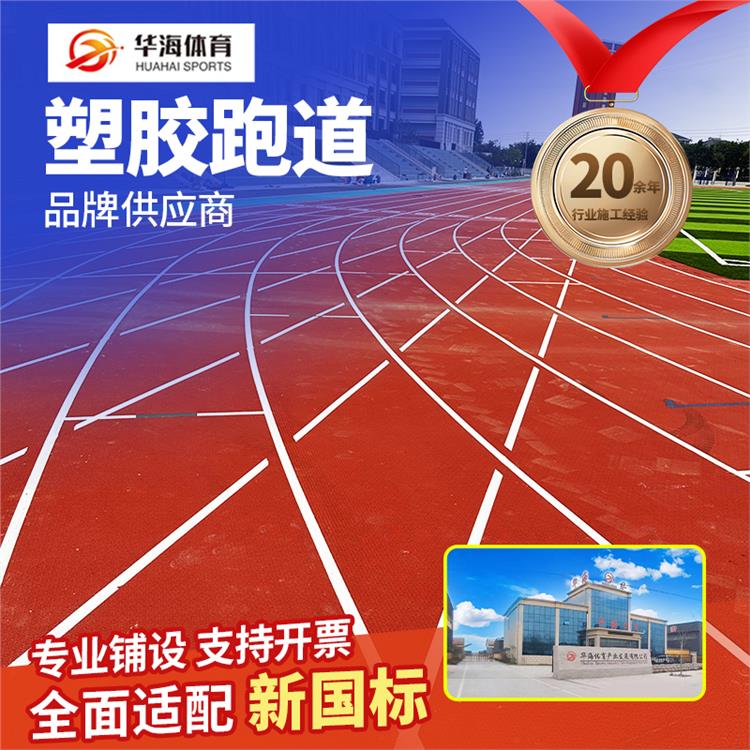 驻马店市预制型跑道预制型橡胶跑道 - 排名